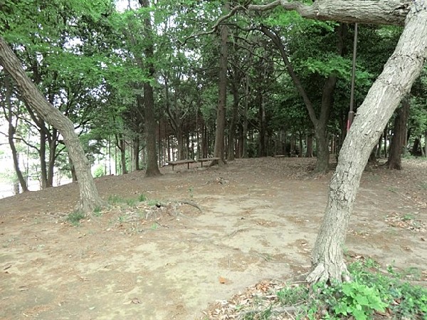 周辺環境:馬場二丁目公園(馬場花木園に隣接する緑豊かな公園。しいやカシの木の大木があり、どんぐり山公園の愛称で親しまれている。)