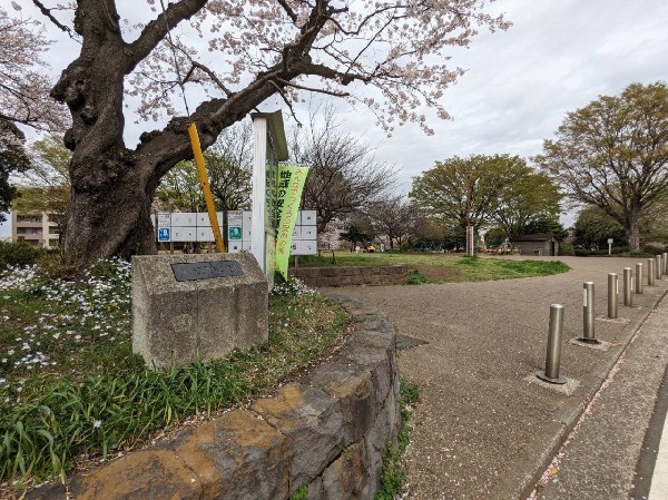 周辺環境:入江町公園(広場と原っぱのある公園。複合遊具やブランコがあり、小さなお子さまも楽しめる。春には桜が綺麗に咲きます。)