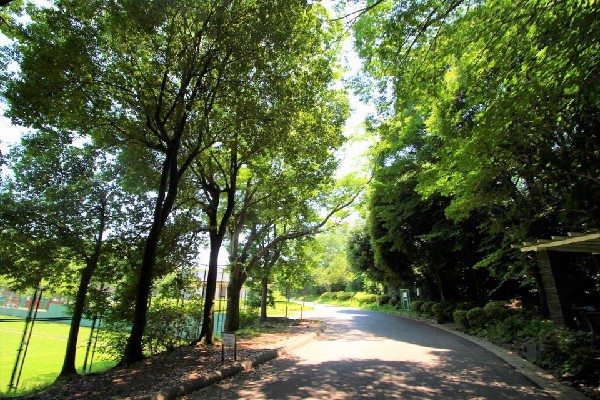 周辺環境:三ッ池公園(春には1600本の桜が咲く名所。テニスコート、プール、ロング滑り台等があり、1日中楽しめる公園です。)