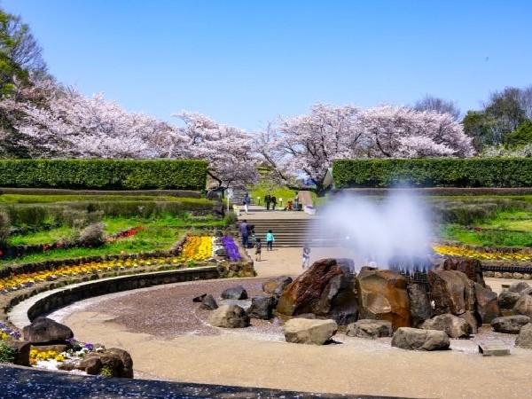 周辺環境:四季の森公園(45.3ヘクタールの広大な敷地には、四季折々の花や生き物、里山の風景を楽しむことができます)