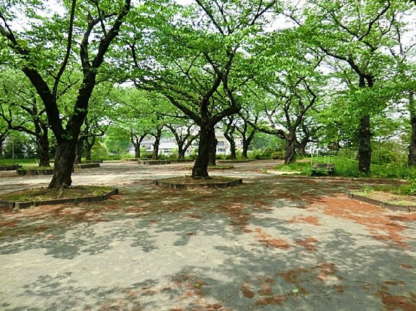 周辺環境:幸ヶ谷公園(電車好きやお花見客に人気の高台の公園。すべり台などの遊具があり、小さなお子さんも安心して遊べます。)