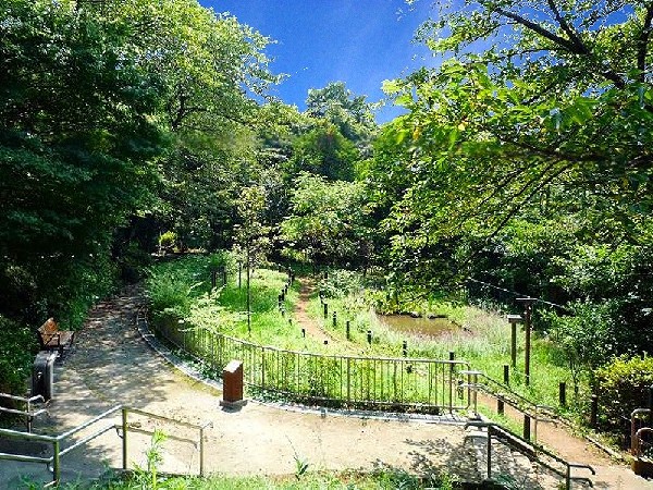 周辺環境:馬場町公園 (春には桜が咲き、夏は木漏れ日が気持ち良い自然豊かな公園。散策道があるので、気軽にお散歩が楽しめます。)