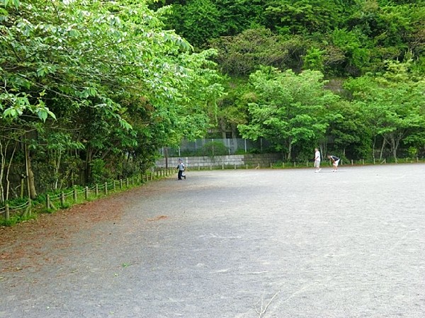 周辺環境:今泉公園(今泉公園まで800ｍ)